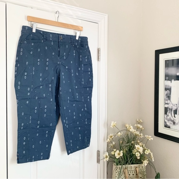 Style and Co Printed Capri Pants - Picture 2 of 12